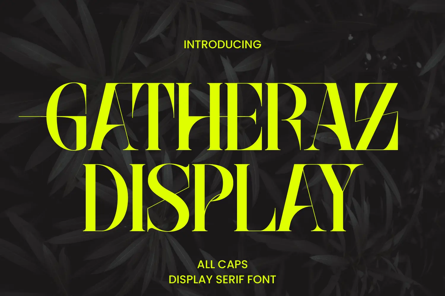 Gatheraz Stylish Display font. Its elegant and cool look makes it the perfect choice for logos, branding,